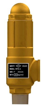 DN 25 SAFETY VALVE