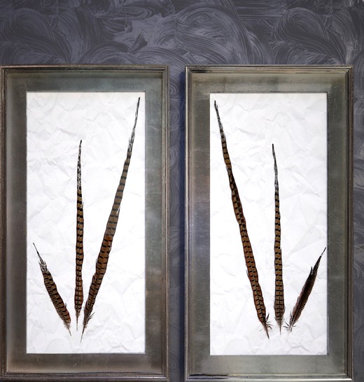 Pheasant Feathers