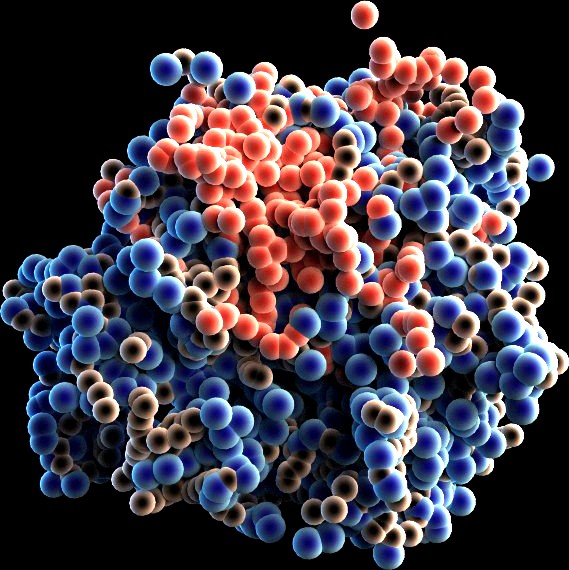 Protein Molecule 23d model