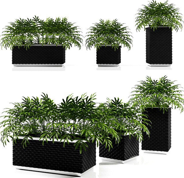 PLANTER BOX