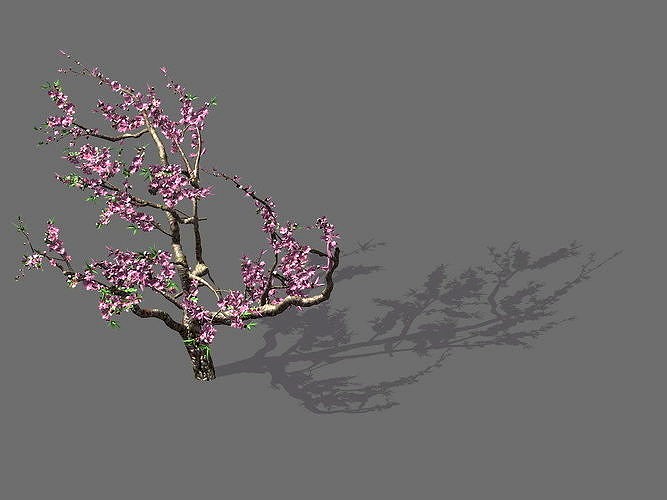 Game Model - Forest - Peach Tree 01
