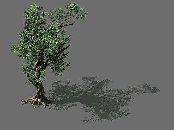 Game Models - Forest - Trees 03