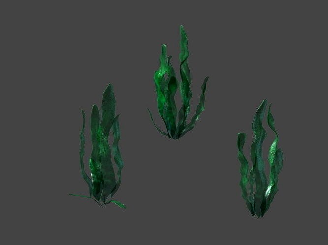 Game model - seabed - kelp