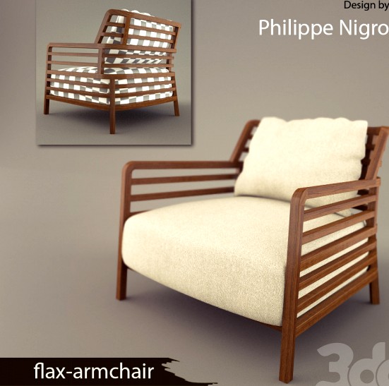 Philippe Nigro flax