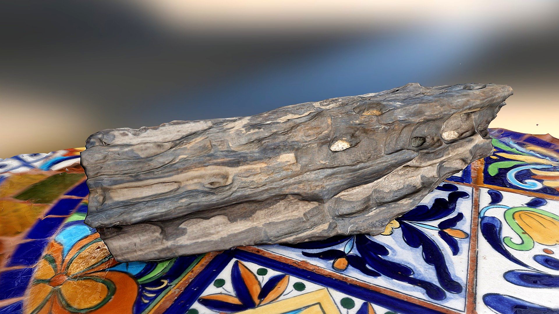 Petrified Wood, Weathered