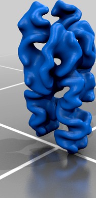 hyperbolic pizza dragon skull coral 6 by davidatlas