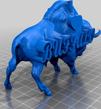 Buffalo Love by theman1122