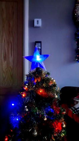 Mini Star Christmas Tree Topper by Cargy