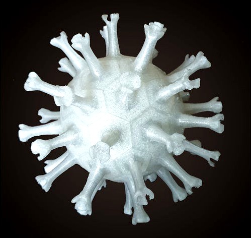 Coronavirus in 42 segments by Somethingis