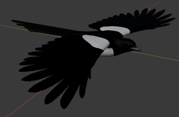 Magpie in flight by mjprice