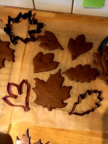 Parametric cookie cutter (with leaf STLs) by qubist