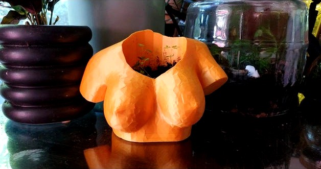 Torso Planter by emskitties