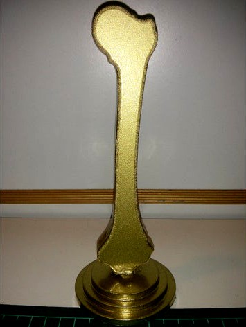 Bone Award by 66point99