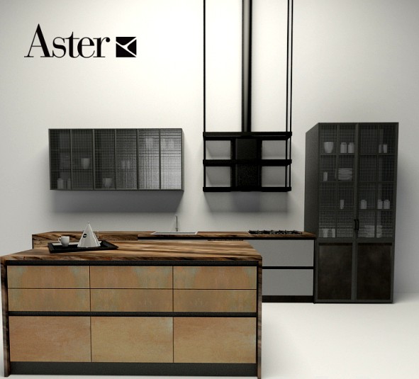Aster - factory