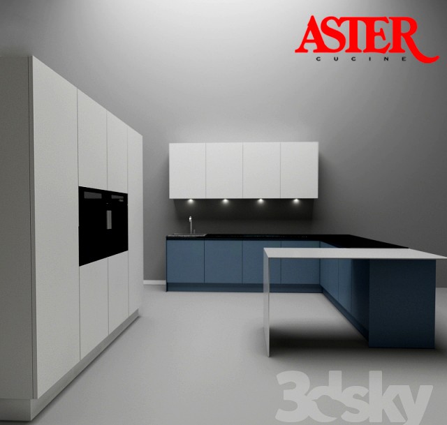 Aster - Contempora