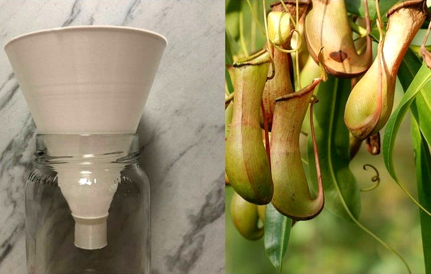 Bioengineered fly trap by edison_vs_tesla