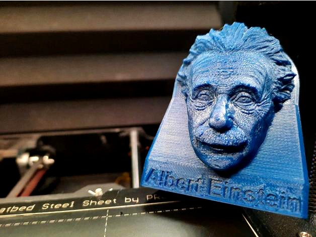 Albert Einstein Bust by KnockOut3D