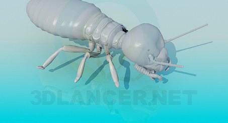 3D Model Termit