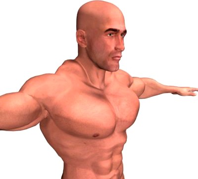 Bodybuilder Man3d model