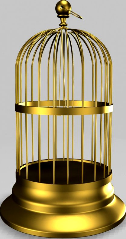 bird cage3d model