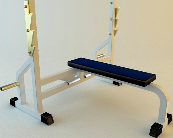 Rack Rod Exercise Equipment3d model