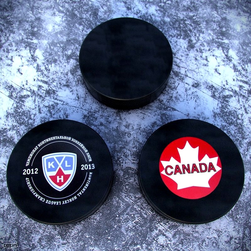 Hockey Puck3d model