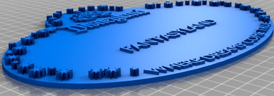 Disney Cast Member Name Tag by ebodell