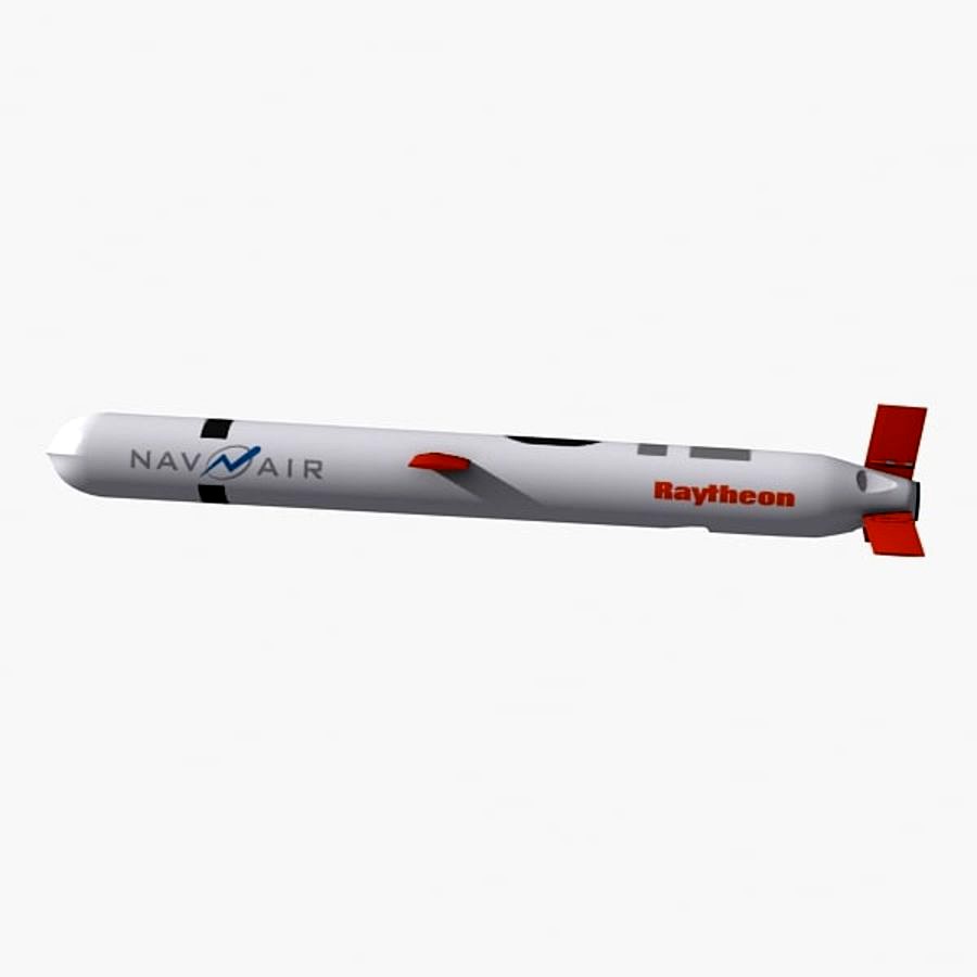 Tomahawk Cruise Missile