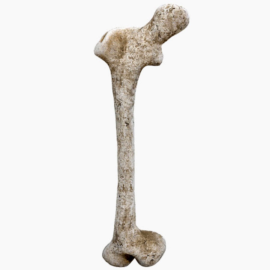 Old Bone