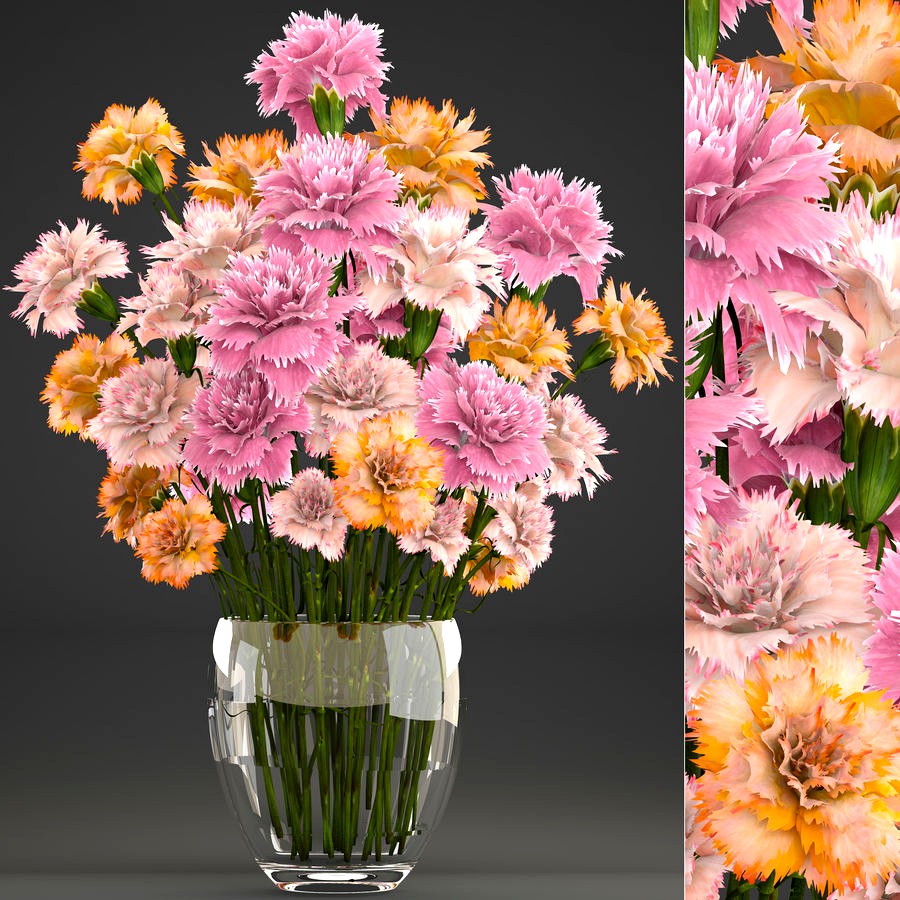 Bouquet of flowers Dianthus