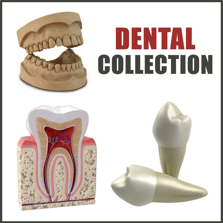 Dental Collection