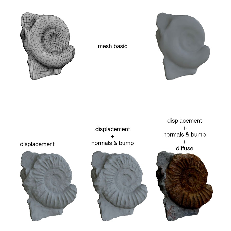 Fossil