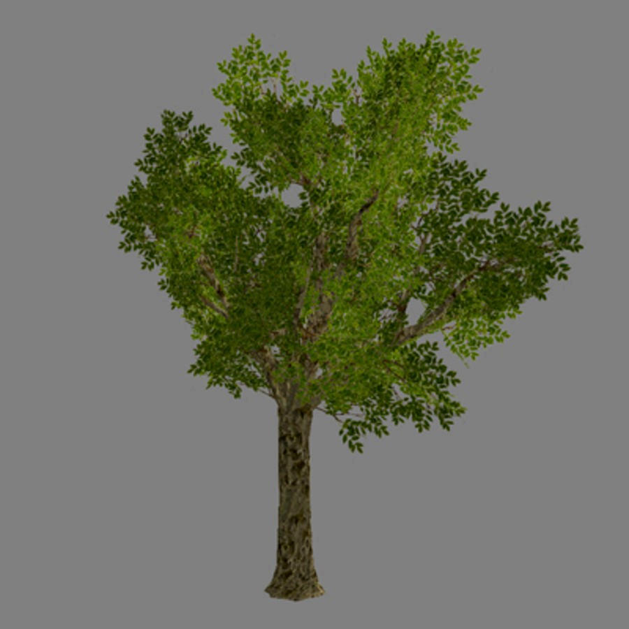 Lowpoly - Tree - 2