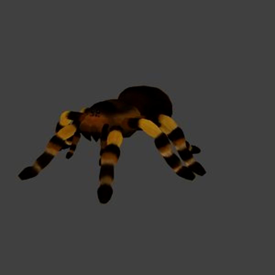 Tarantula