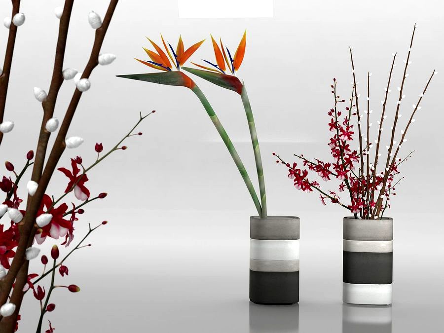 Xiral Segard Konkurito Vases