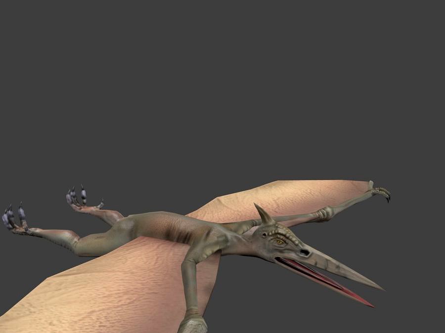 Pterodactyl