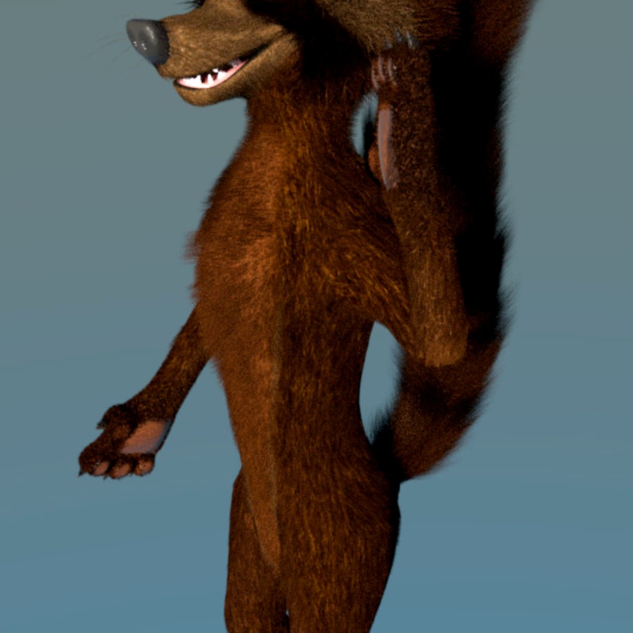 3D Racoon