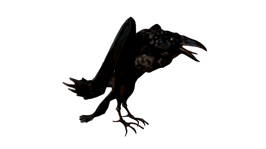 Crow or Raven or Corbie