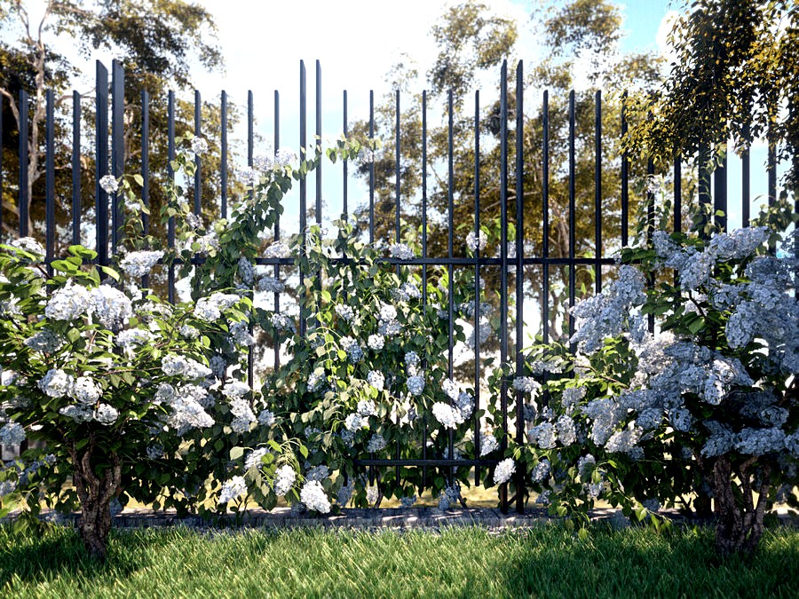 Hydrangea Garden Set