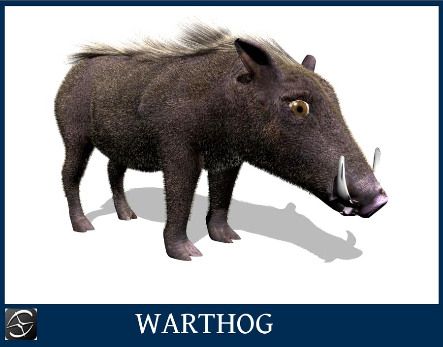 warthog