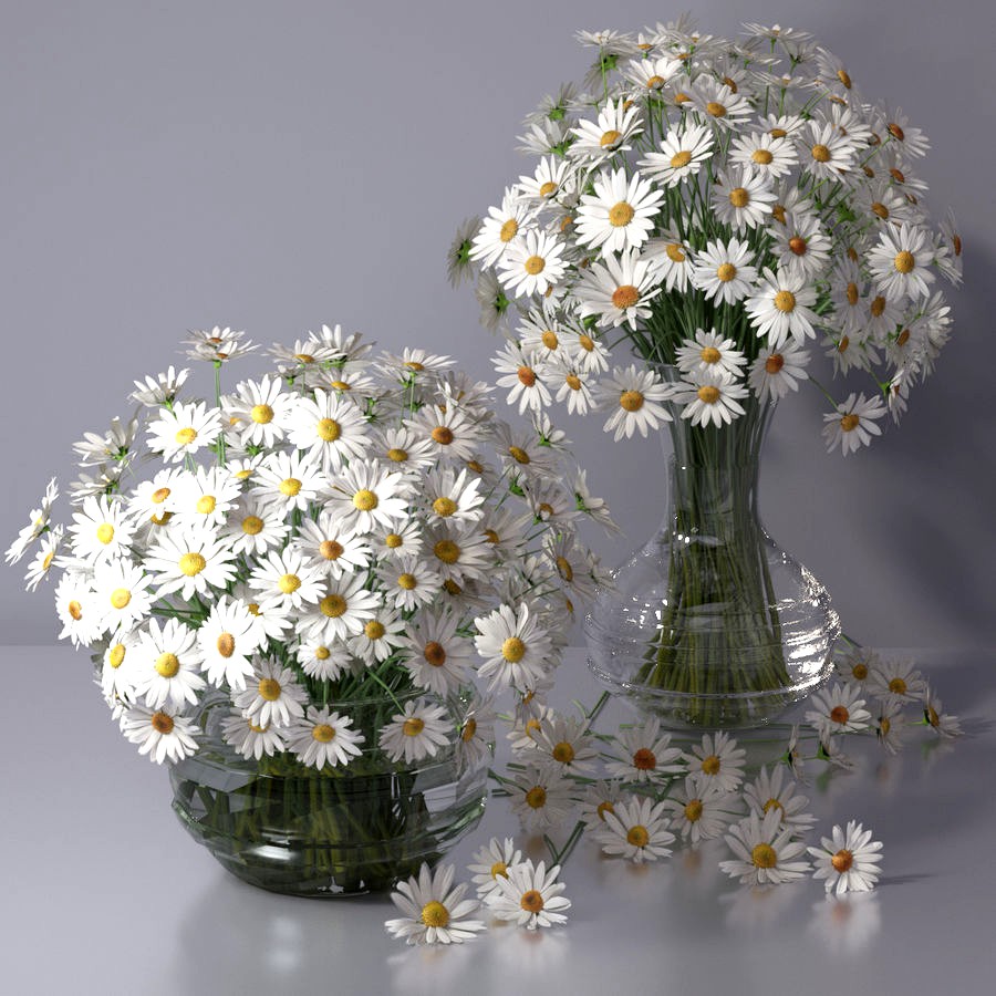 Realistic Chamomile daisy Glass Vase interior decor