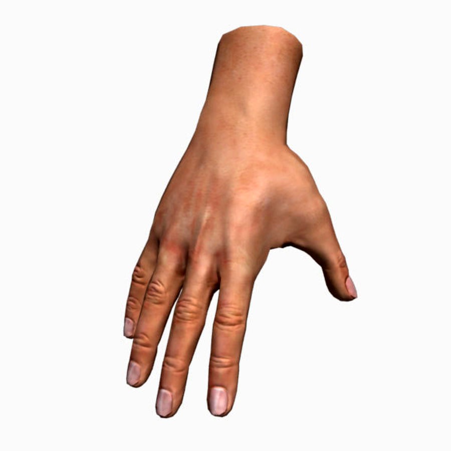 Hand (Rigged)