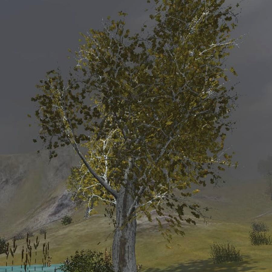 Tree Pack Low and High Poly