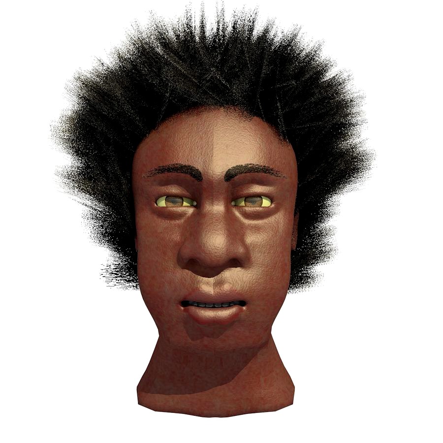 Black Male Afro Head Joe