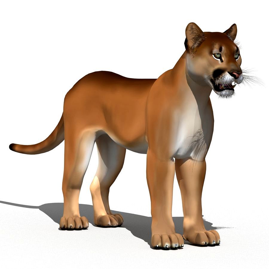 Cartoon Cougar 3d model Cartoon Cougar 3d model