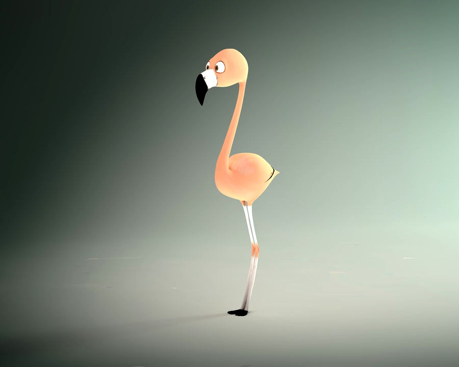 Flamingo