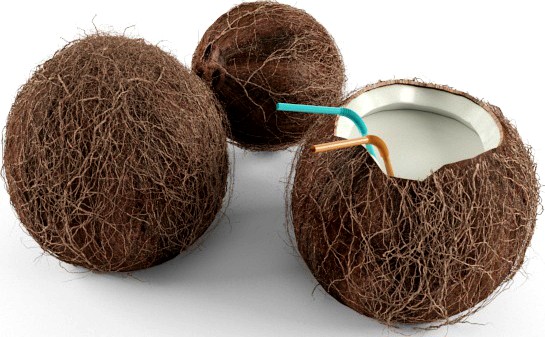 Coconut