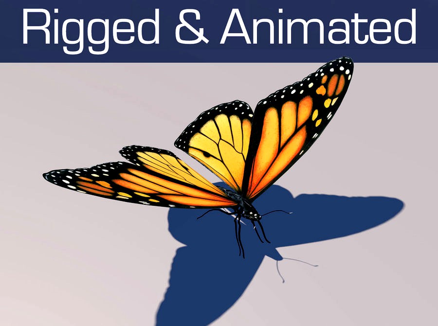 Animated Monarch Butterfly