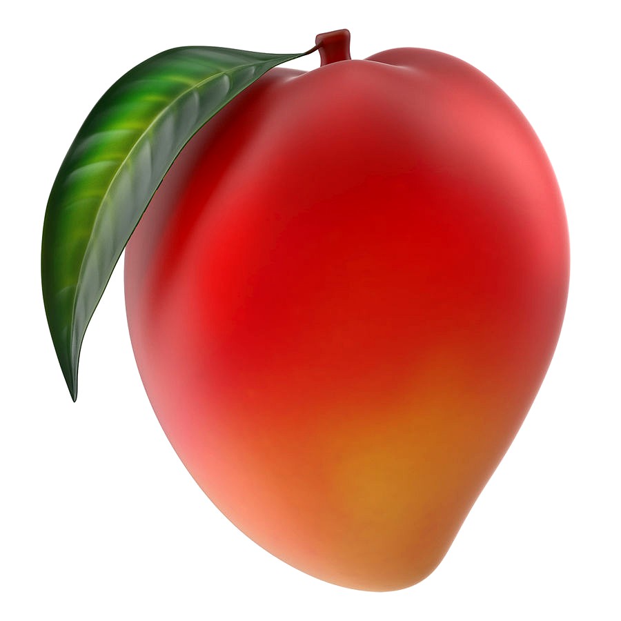 Fresh Mango Fruit