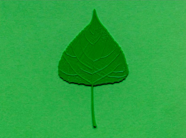 Poplar tree leaf by DB_oblikovanje